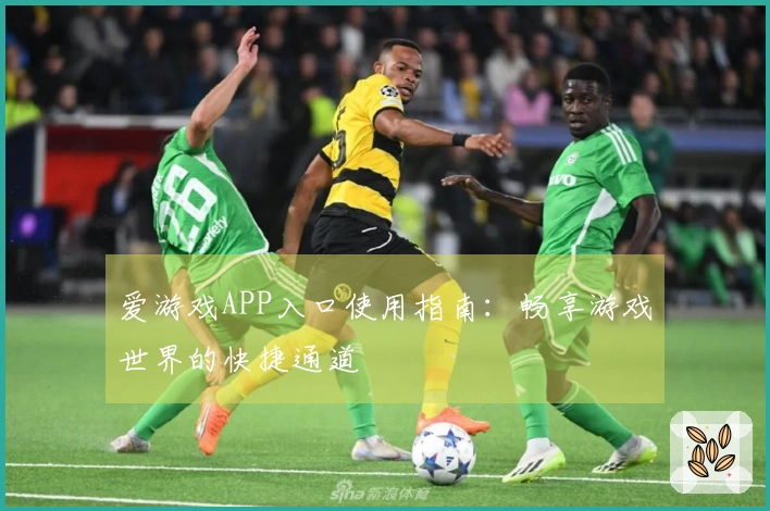 爱游戏APP入口使用指南：畅享游戏世界的快捷通道