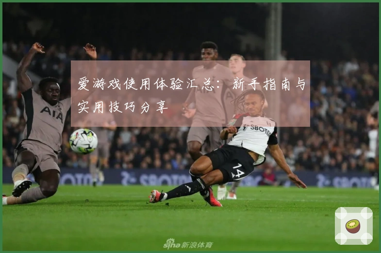 爱游戏使用体验汇总：新手指南与实用技巧分享